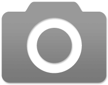 새앨범
